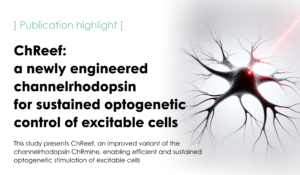 Efficient and sustained optogenetic control of nervous and cardiac systems