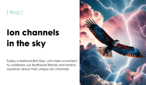 Ion channels in the sky, birds