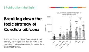 Secretion of the fungal toxin candidalysin is dependent on conserved precursor peptide sequences