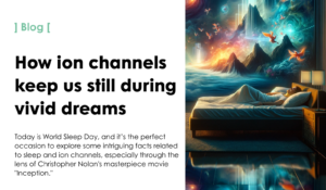 How ion channels keep us still during vivid dreams