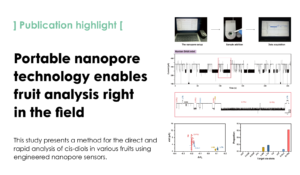 Nanopore analysis of cis-diols in fruits