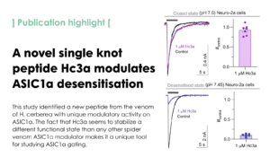 The funnel-web spider venom derived single knot peptide Hc3a modulates acid-sensing ion channel 1a desensitisation