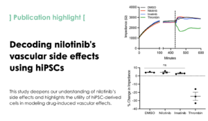 Nilotinib-induced alterations in endothelial cell function recapitulate clinical vascular phenotypes independent of ABL1