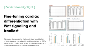 Fine-tuning cardiac differentiation with Wnt signaling and tranilast