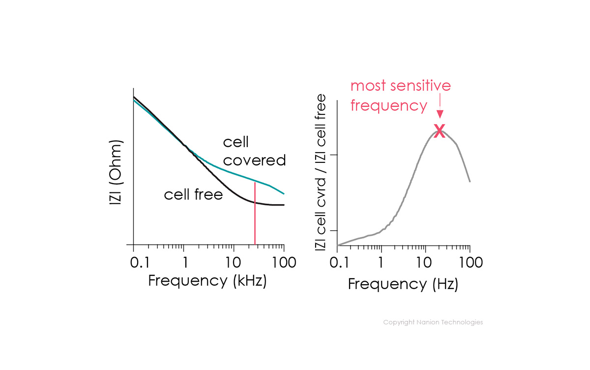 How to determine the most sensitive frequency?