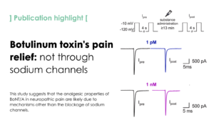 Botulinum toxin's pain relief not through sodium channels