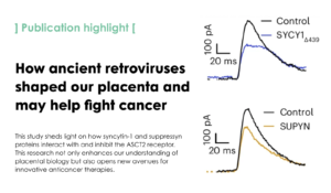Receptor-recognition and antiviral mechanisms of retrovirus-derived human proteins