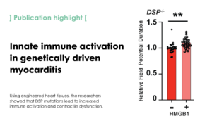 Susceptibility to innate immune activation in genetically-mediated myocarditis