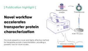 Transporter function characterization via continuous-exchange cell-free synthesis and solid supported membrane-based electrophysiology