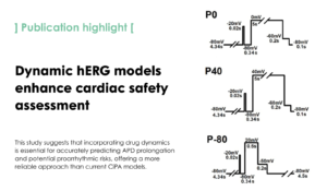 Experimentally validated modeling of dynamic drug-hERG channel interactions reproducing the binding mechanisms and its importance in action potential duration