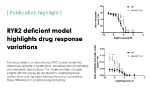 RYR2 deficient human model identifies calcium handling and metabolic dysfunction impacting pharmacological responses