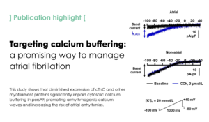Impaired Intracellular Calcium Buffering Contributes to the Arrhythmogenic Substrate in Atrial Myocytes From Patients With Atrial Fibrillation