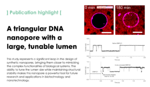 A lumen-tunable triangular DNA nanopore for molecular sensing and cross-membrane transport